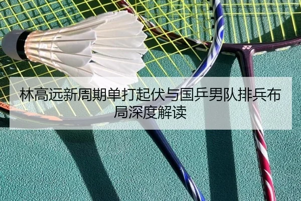 林高远新周期单打起伏与国乒男队排兵布局深度解读